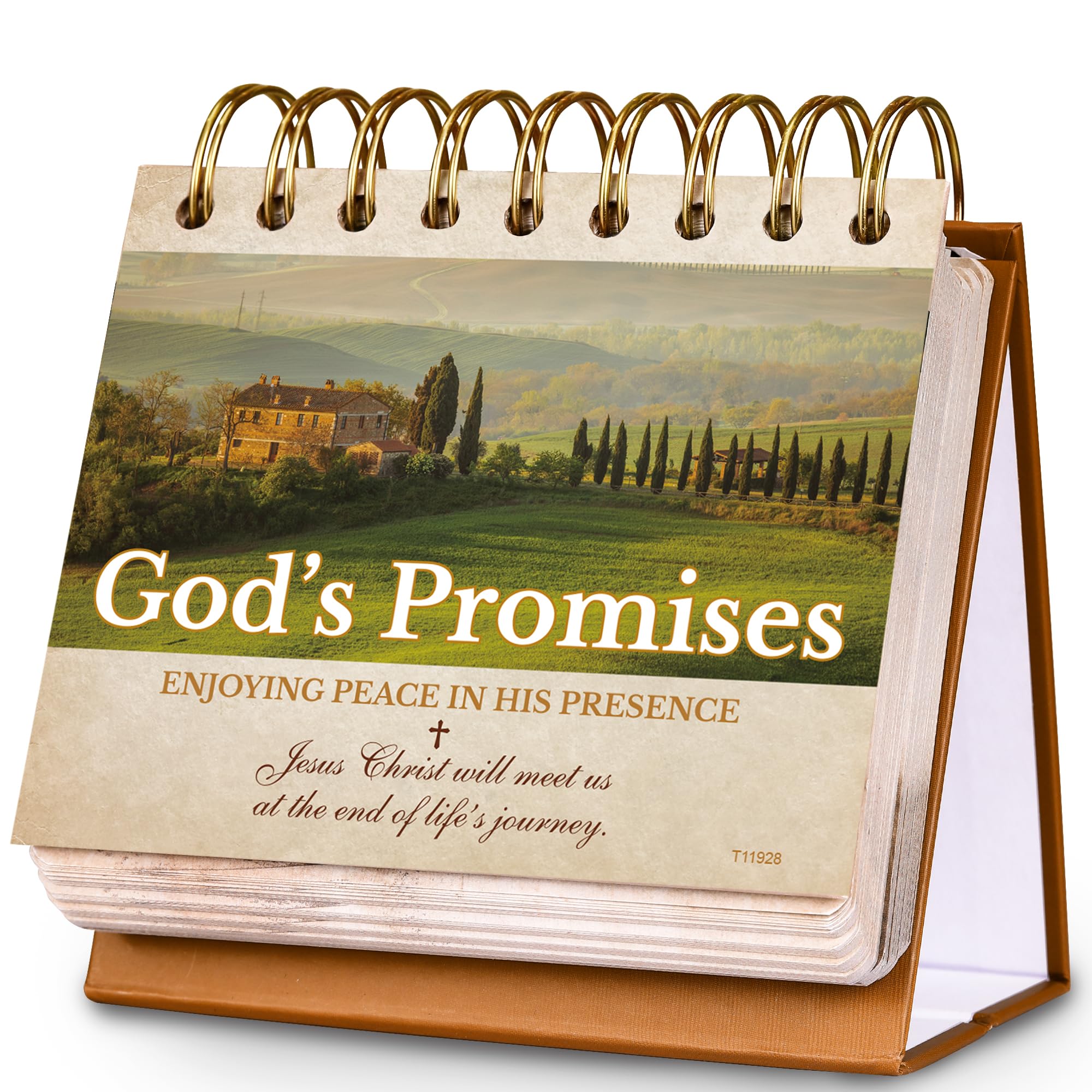 Photo 1 of Motivational Calendar - Desk Calendar with Inspirational Thoughts, Christian Gifts, Religious Gifts for Women and Men, 4.7'' x 5'' Flip Calendar, God's Promises Perpetual Calendar, Christian Decor