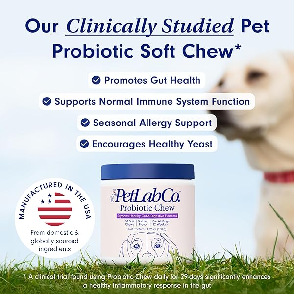PETLAB CO. PROBIOTICS FOR DOGS, SUPPORT GUT HEALTH, OCCASIONAL DIARRHEA, DIGESTIVE HEALTH & SEASONAL ALLERGIES – SALMON FLAVOR – PACKAGING MAY VARY – 30 SOFT CHEWS