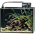 NICREW 2.5 Gallon Nano Nature Aquarium Kit, Ultra-Clear Rimless Desktop Fish Tank with Light and Filter, Perfect for Small Fish, Shrimp, or Betta, Basic Version