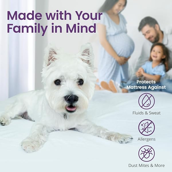SAFEREST CLOUDGUARD – FULL SIZE HYBRID MATTRESS PROTECTOR & PAD (EXTRA PADDED) – WATERPROOF QUILTED PILLOW TOP MATTRESS COVER – THICK, PLUSH & FITTED MATTRESS TOPPER FOR BED