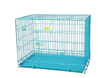 Royal Pet Iron and Plastic Cage with Removable Tray for Dog and Rabbit (Blue, 42-inch)