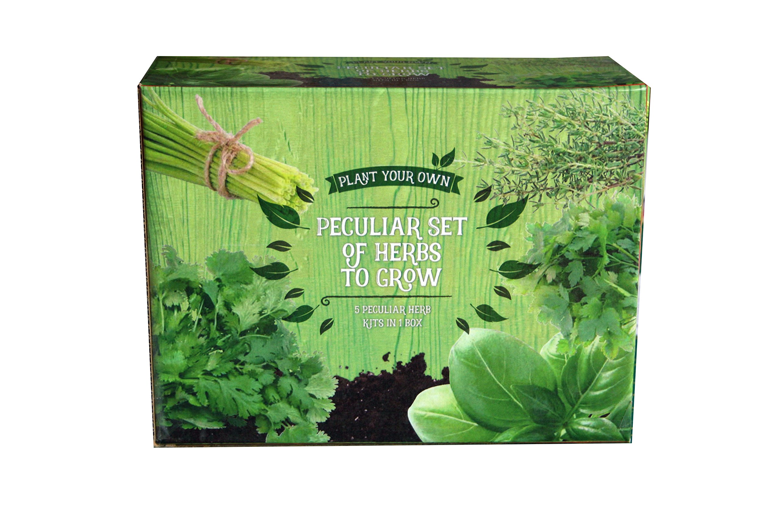 A to Z 82003 Plant Your Own Peculiar Set of Herbs to Grow, Green, 8x20x15 cm