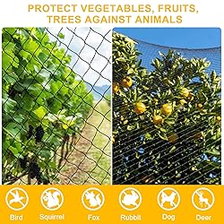 BSTPCOO Nylon Bird Netting 50'x50' with 2.4" Square