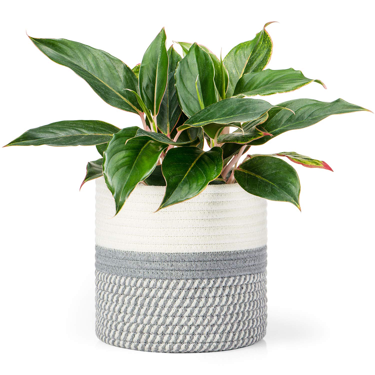 Photo 1 of Dahey Jute Cotton Rope Plant Basket Mini Woven Storage Basket for Up to 7" Planter, Decorative Flower Pot Cover Closet Storage Bin Table Desk Organizer Modern Home Decor, Grey
