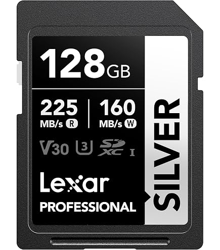 Amazon.com: Angelbird AV PRO SD V60 64 GB - SDXC UHS-II Memory