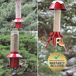 10 Best Squirrel Proof Bird Feeders In 2020 New Reviews Let S