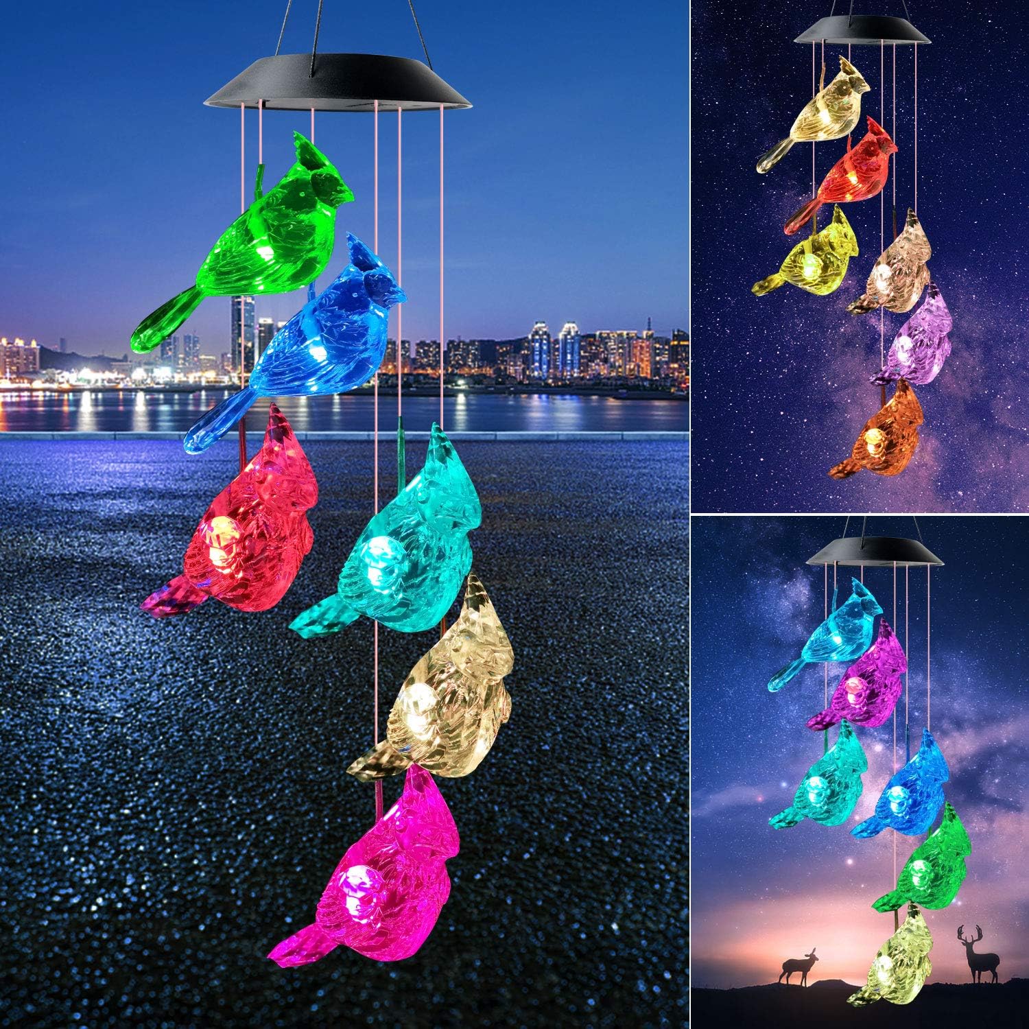 hummingbird string lights