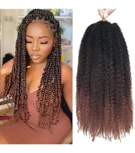 Amazon.com : Janet Collection Noir 2X Havana Twist Mambo Twist 24
