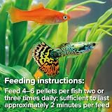 King British Tropical Mini Pellets 55g Multi-Vitamin Complete Fish Food view 4