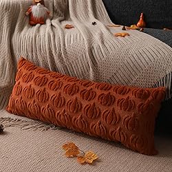 DFXSZ Fall Pillow Covers 14x36 Set of 1 Fall