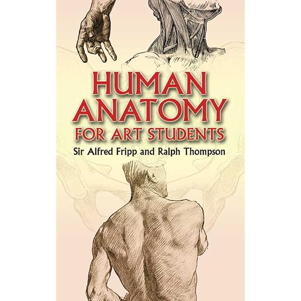 Amazon.com: A Handbook of Anatomy for Art Students (Dover Anatomy