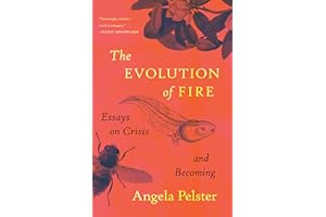 The Evolution of Fire: Essays on Crisis and Becoming