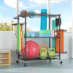 SINGAYE Dumbbell Rack, Balls Workout Equipment