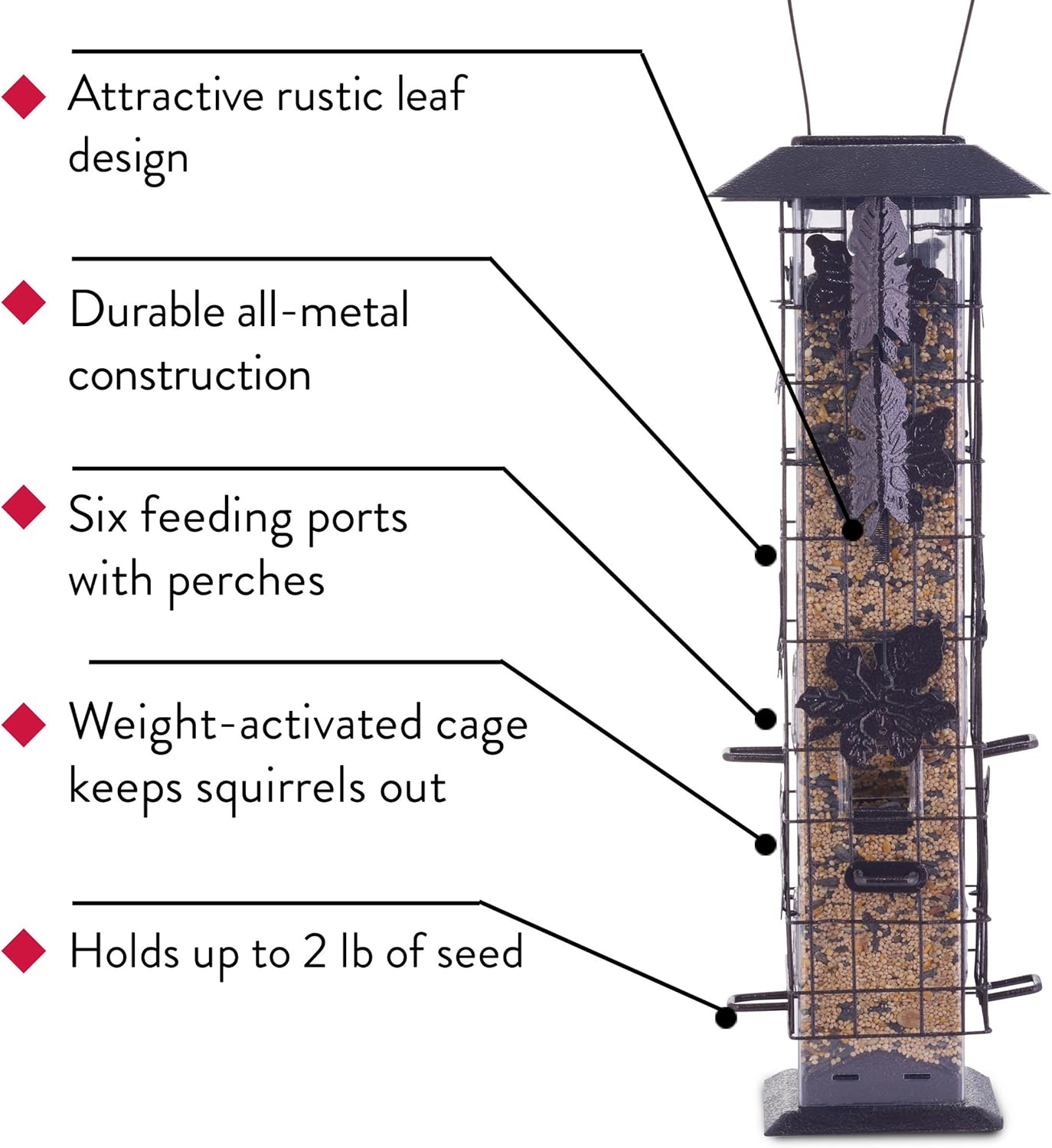 Perky-Pet 336 Squirrel-Be-Gone Wild Bird Feeder – 2 lb : Garden & Outdoor