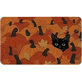 HSOWKDN Fall Front Door Mat Indoor Outdoor Entrance, Non-Slip Washable Pumpkin with Black Cat Autumn Door Mats Outside Entrance Orange Fall Porch Welcome Floor Mat Doormat Outdoor, 17
