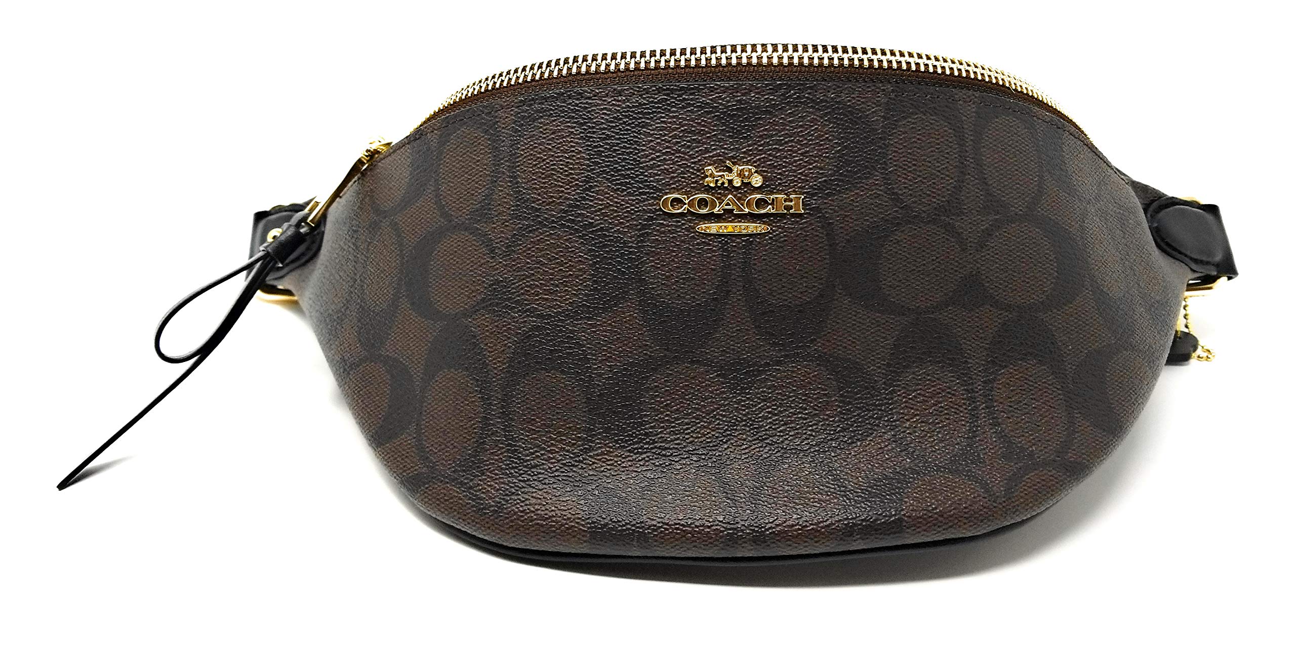 Coach Belt Bag Philippines IUCN Water