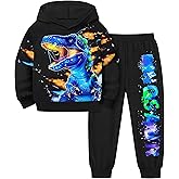 TyeSmo Toddler Boy Clothes Dinosaur Printed Hoodies Toddler Clothes for Boys Long Sleeve Sweatpants Set T-Rex Outfits 3-7t