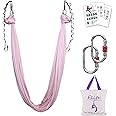 F.Life Aerial Silk Yoga Hammock & Swing for yoga Inversion,Strength training,starter hardware kit
