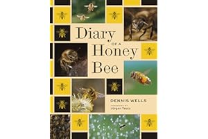 Diary of a Honey Bee