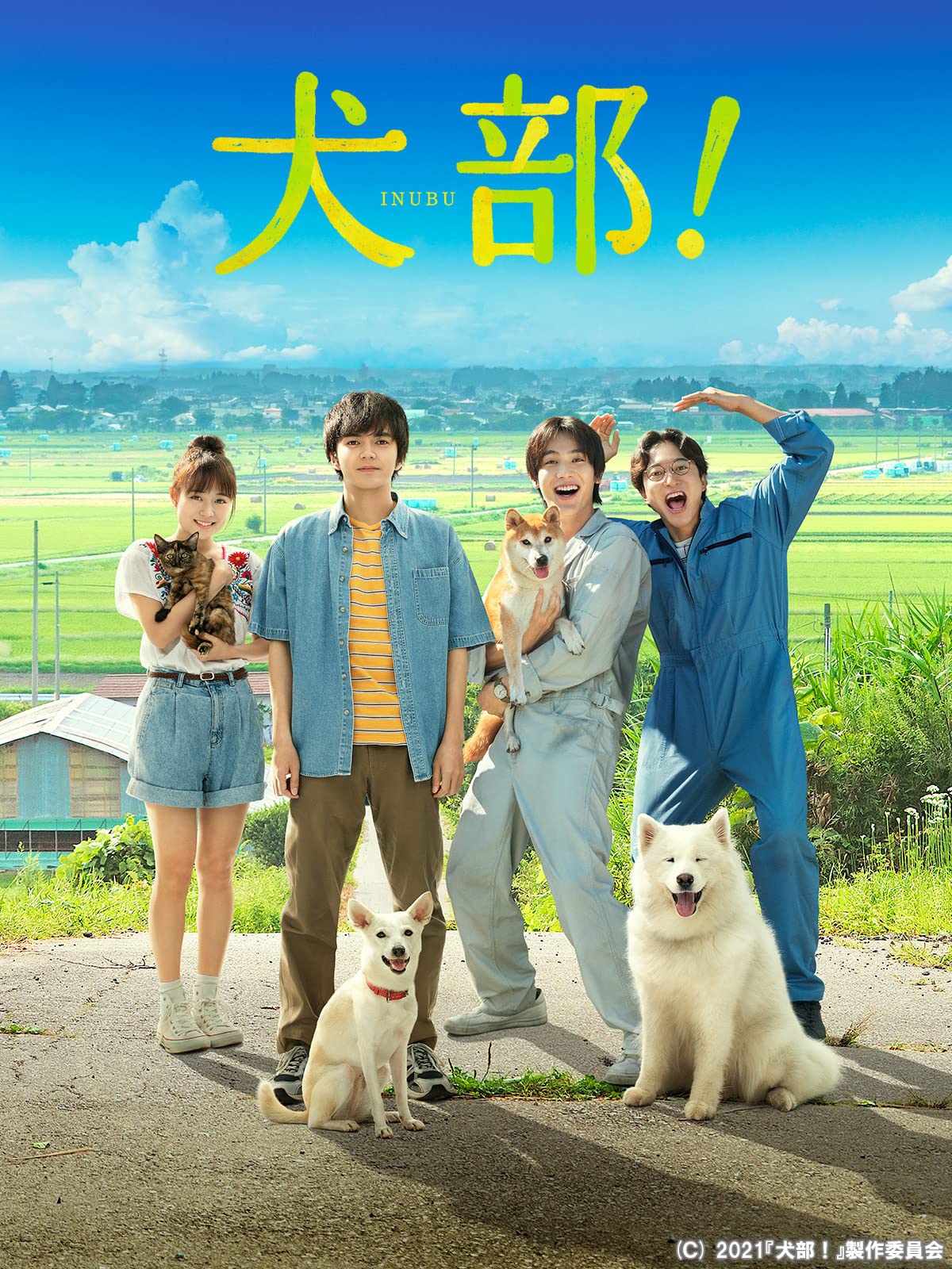 Amazon Co Jp ワンダフルライフを観る Prime Video