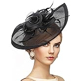 Zinniday Feather Fascinator Hat for Women - 2026 Victoria High Tea Party Kentucky Hat with Hair Clip for Lady Girls