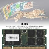Kuuleyn DDR2 1GB 667MHz PC2-5300 RAM Memory for PC Laptop Intel AMD view 3