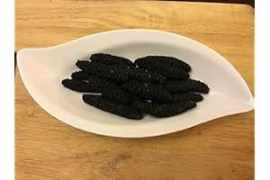 DOROTHY27 GOLDENSEA-Dried Wild Sea Cucumber, Black Pin Atlantic Sea Cucumber,金海堂-野生淡干海参 北极冰刺参, 岩刺参 (特级）,Holothuria Mammata, Grade AAAA (Large Size) 1LB