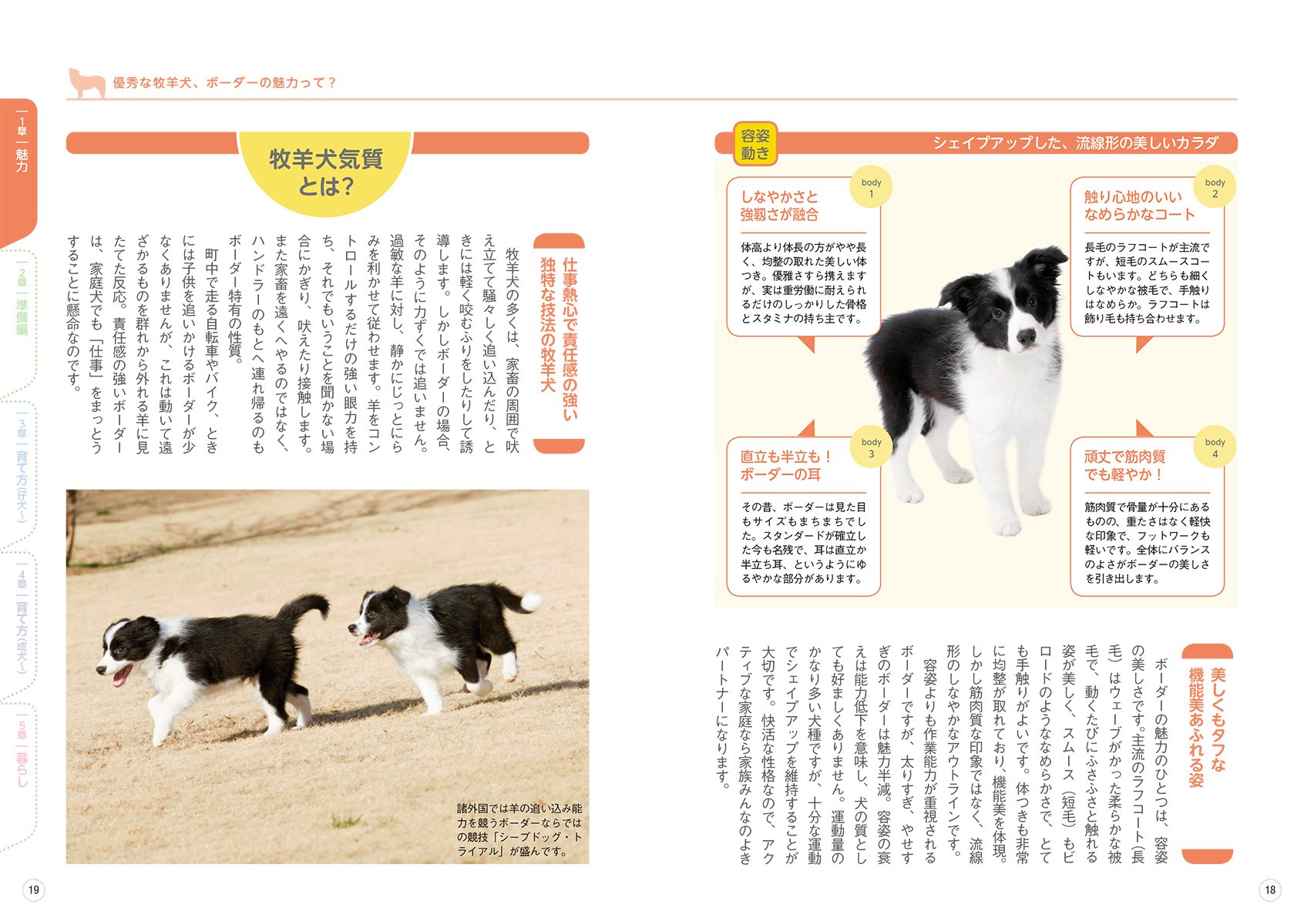 ボーダー コリーと暮らす 決定版 愛犬の飼い方 育て方マニュアル 愛犬の飼い方 育て方マニュアル 決定版 愛犬の友編集部 本 通販 Amazon