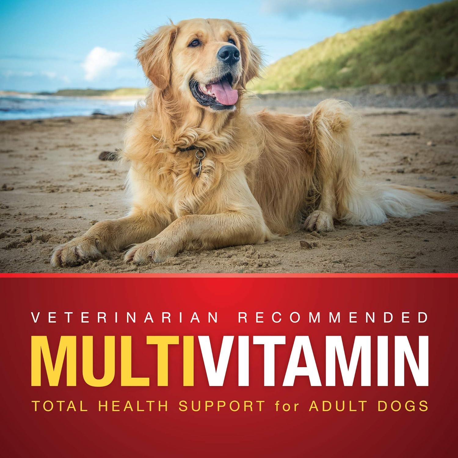 VetIQ MultiVitamin Health Support Supplement Soft Chews for Dogs, 90 Count : Pet Supplies
