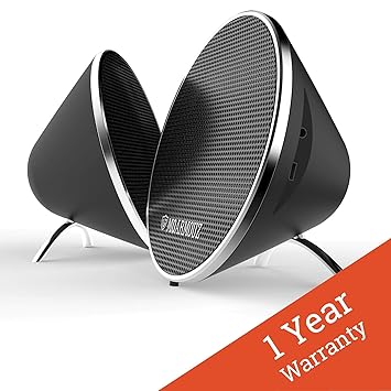 dual true wireless speakers