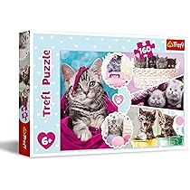 ♡ 　no1 New DECO 27 TRANSFORM First Limited Edition 2 CD Japan GNCL