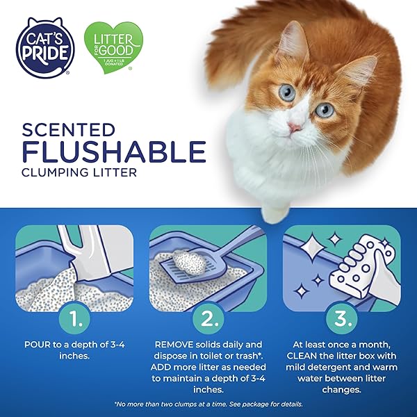 CAT’S PRIDE LIGHTWEIGHT CLUMPING LITTER: FLUSHABLE – POWERFUL ODOR CONTROL – SCENTED, 10 POUNDS