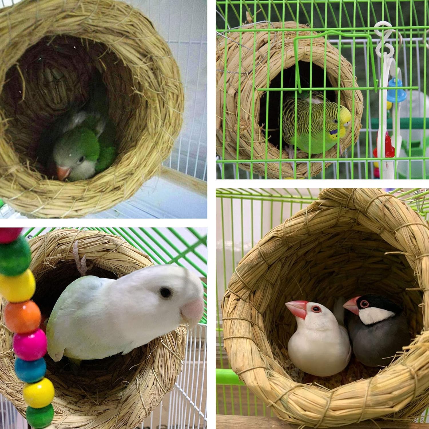 kathson Birdcages Straw Bird Nests Natural Grass Woven Birdhouse Resting Breeding Nesting Cages Hideaway Shelter for Finch Canary Budgie Lovebird Pearl Bird and Small Parrot  : Pet Supplies