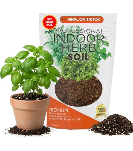 4 philodendron 4