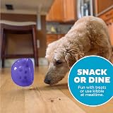 Outward Hound Lil' Snoop Durable Interactive Treat Dispensing Toy Small Purple view 6