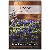Sow Right Seeds - Hyssop Seed for Planting Perennial Medicinal Herb | Plant non-GMO heirloom mint variety in outdoor home garden or hydroponics indoor gardening. Vibrant flowers for pollinators.