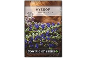 Sow Right Seeds - Hyssop Seed for Planting - Medicinal Herb to Plant in Your Garden - Outdoors - Attracts Pollinators - Stunning Purple Flowers - Non-GMO Heirloom Seeds - Great Gardening Gift (1)