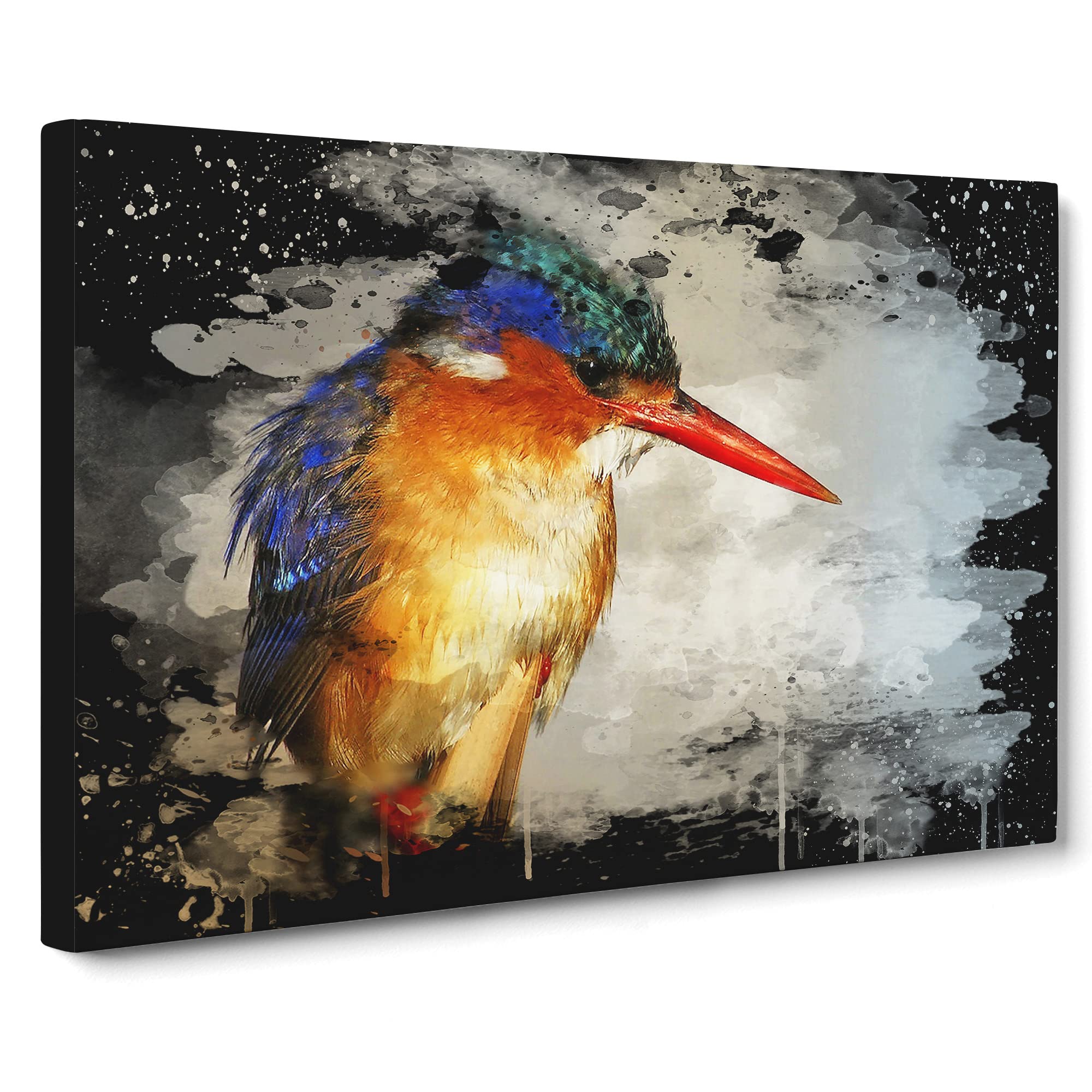 Kingfisher Bird Modern CB Canvas Print | Gallery Wrapped 30mm Frame Wall Art | 20x14 inches | Ready to Hang | Modern Animals Picture | Living Room Bedroom Lounge Office