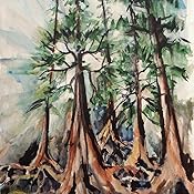 Download The Overstory Book PNG