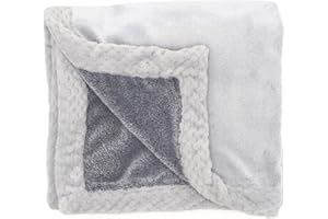 aden + anais Plush Blanket - Soft Minky Baby Blanket for Infants, Toddlers, Kids, for Crib, Stroller, Travel, Storm Grey