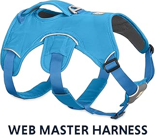 Ruffwear Web Master