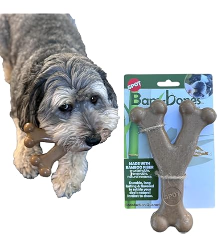 Bambone Plus Chew Toy For Dogs - Beef Flavor, Durable Bamboo & Nylon Blend For Aggressive Chewers