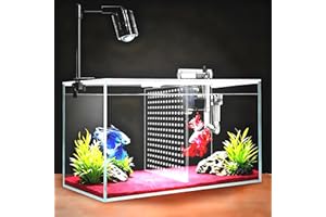 iPriro Fish Tank, 3 Gallon Ultra-Clear Glass Fish Aquarium, with Separator Plate for Betta, Fish Tank Starter kit with Filter and Adjustable Led Light, White