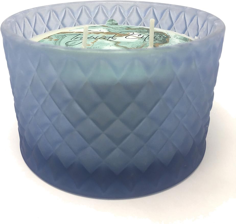 Sand + Fog Tropical Citrus (Blue) 2 Wick Scented Candle 283.5g