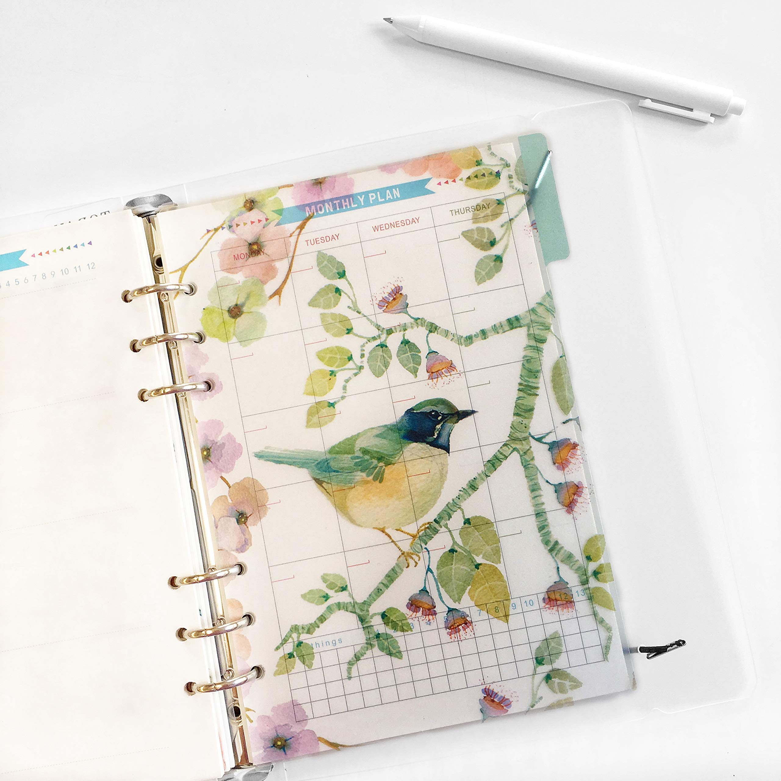 Zelten Binder Index PP & Paper Dividers for 8.5 inch/6 inch A5/A6 6-Holes Cover Ring Binder (Divider Brid, A5/21cm*15cm/8.5 Inch)