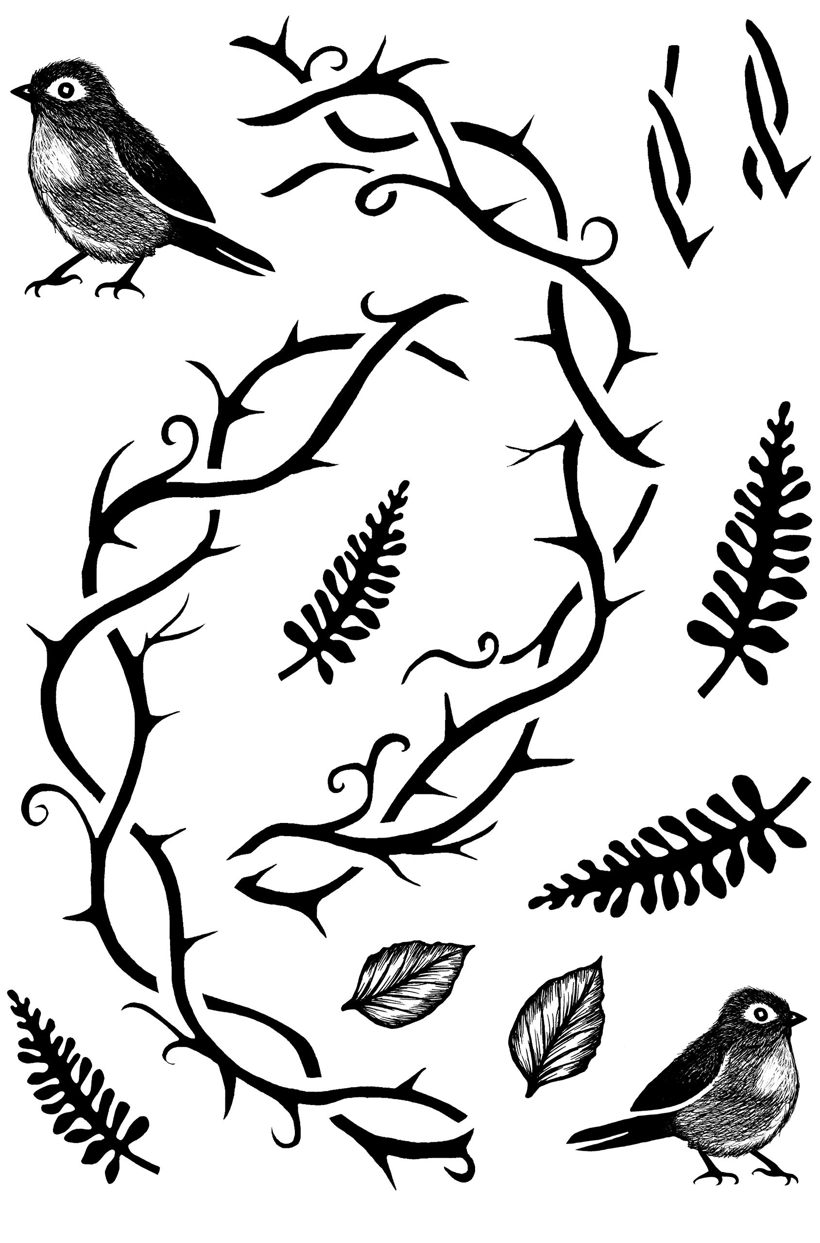 Card-io Clear Stamps, Medium