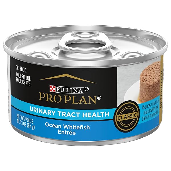 AMERICAN DISTRIBUTION PRO PLAN WHITE FISH CAT FOOD,...