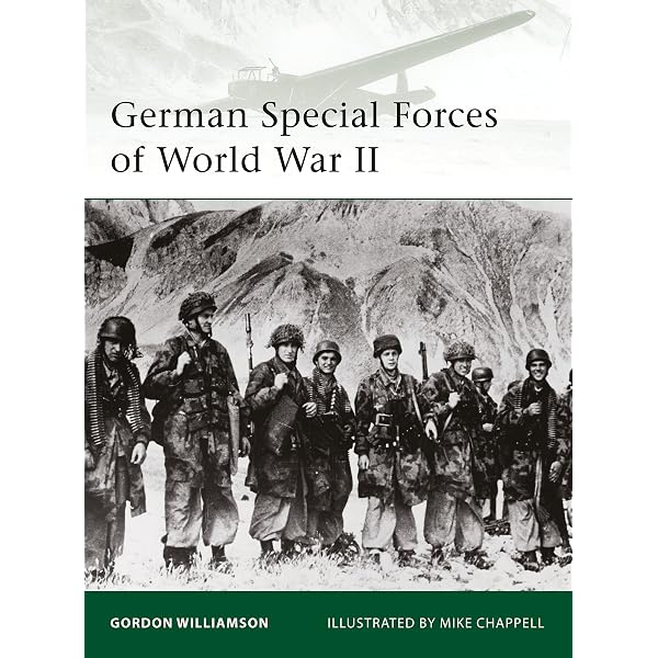 The Allied Forces in Italy 1943-45: Rosignoli, Guido