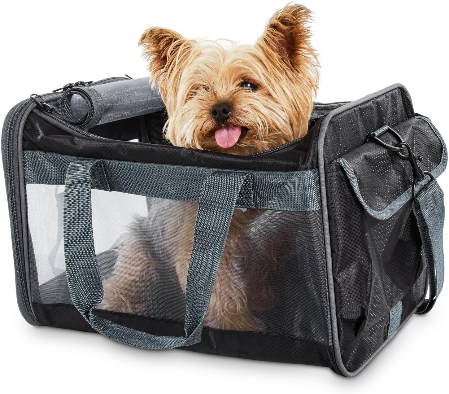 Good2Go Basic Pet Carrier in Black