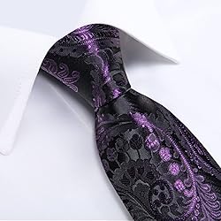 DiBanGu Silk Paisley Ties for Men Woven Necktie and